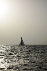 Sailboat sailing in calm sea against clear sky