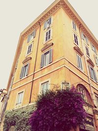 Low angle view of built structure