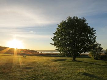 Scenic view of landscape against sky at sunset