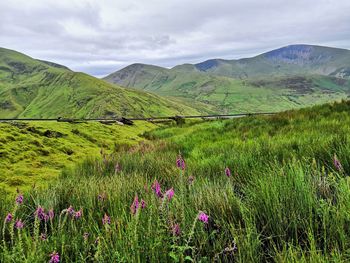 Scenic view of purple mountains against sky