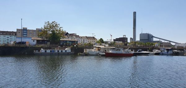 Boats moored at harbor against clear sky