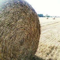 harvesting