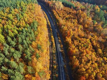 High angle view of road amidst trees during autumn