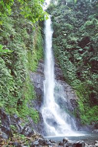 Scenic view of waterfall in forest