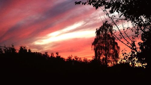 Low angle view of silhouette trees against sky during sunset