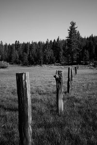 Wooden posts on field against clear sky