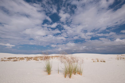 Scenic view of desert against sky