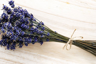 High angle view of purple flowering plants on table