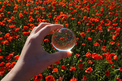 Close-up of hand holding transparent globe