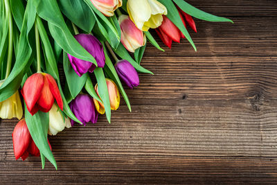 Close-up of colorful flowers