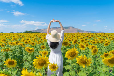 Rear view of woman wearing hat with arms raised while standing on sunflowers field against sky