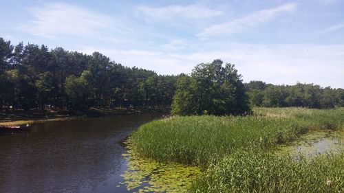 Scenic view of river against sky