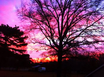 Bare trees against sky at sunset