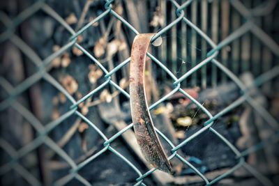 Close-up of chainlink fence