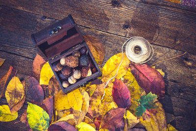 Directly above shot of autumn leaves with food on table