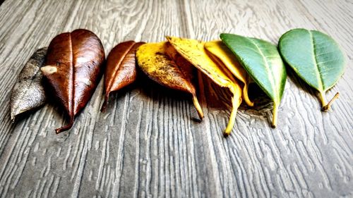 High angle view of leaves on table