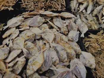 High angle view of dry leaf