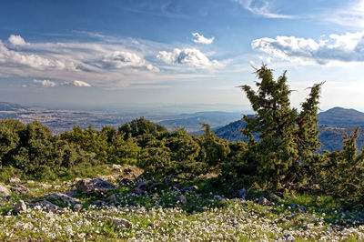 Hiking on parnitha offers magnificent view over athens