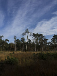 Trees on field against cloudy sky