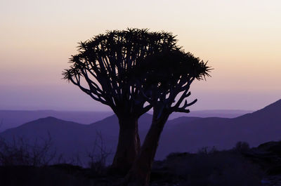 Silhouette tree against sky at sunset