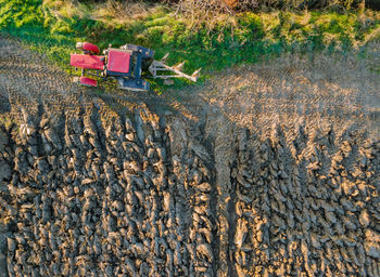 Scenic view of agricultural field