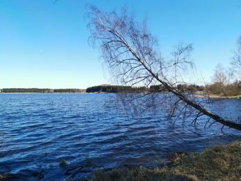 Scenic view of lake against clear blue sky
