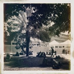 Woman standing in park