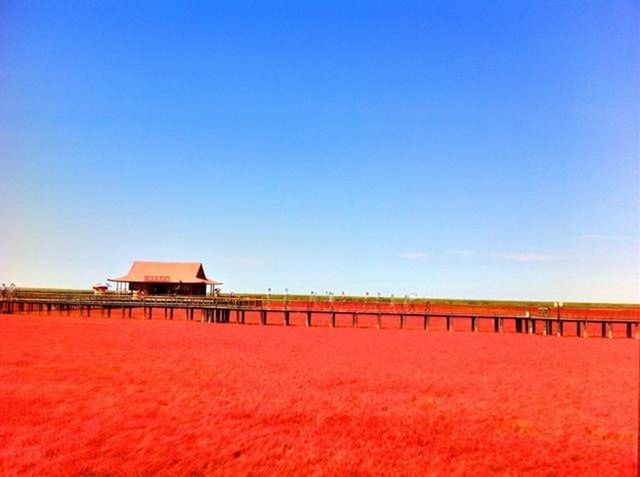 clear sky, copy space, built structure, architecture, blue, building exterior, beach, sand, house, day, outdoors, no people, red, sunlight, sea, nature, tranquility, roof, residential structure, beach hut