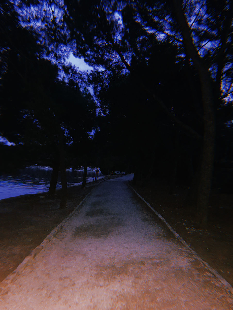 ROAD AMIDST TREES AT NIGHT