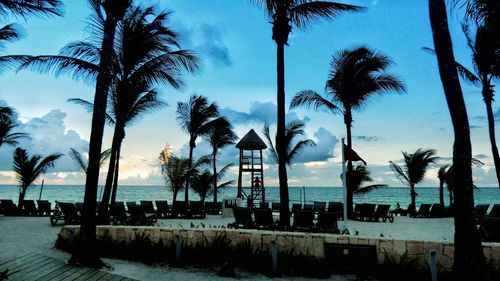 Palm trees on beach against sky