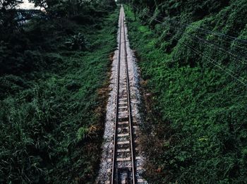 High angle view of road amidst trees in forest