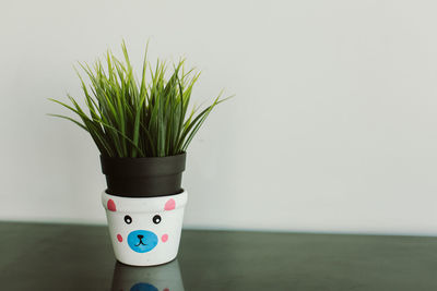 Close-up of potted plant