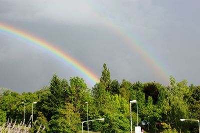 Rainbow over trees against cloudy sky