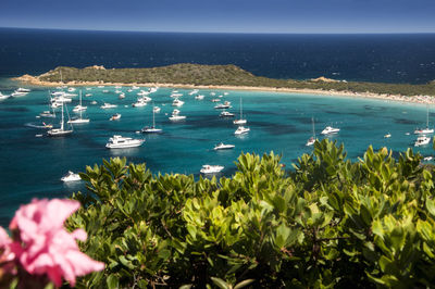 High angle view of sailboats in sea