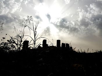 Low angle view of silhouette trees on field against sky at sunset