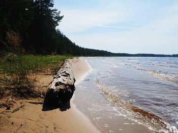 Scenic view of beach against sky