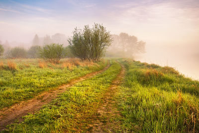 Scenic view of field against sky