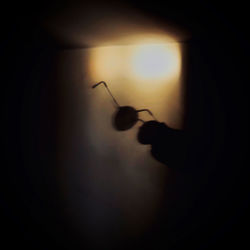 Silhouette of person holding light bulb