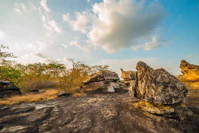 Rock formation amidst trees against sky