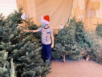 Full length of christmas tree in park during winter