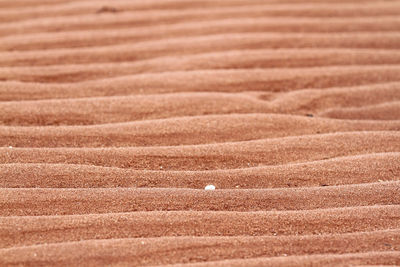 Ripples in red beach sand in pei, canada