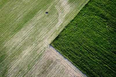 Full frame shot of green grass