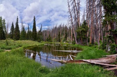 Alpine pond trail at cedar breaks national monument  hiking trail brian head cedar city, utah