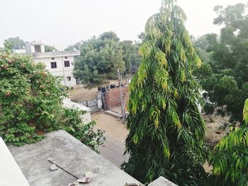 High angle view of trees and buildings against clear sky