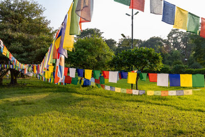 Multi colored flags hanging by trees against sky
