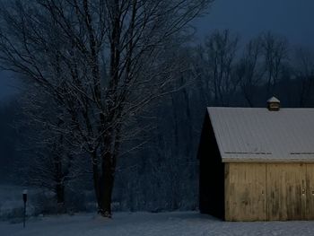 Bare trees on snow covered field by houses during winter