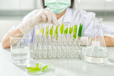 Midsection of scientist examining chemical in laboratory