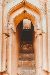 Entrance of old building