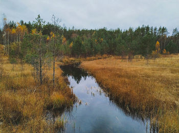 Scenic view of lake in forest against sky