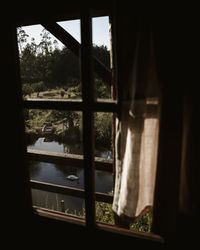 Reflection of trees on glass window